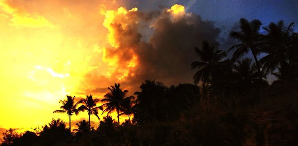 Low angle view of silhouette trees against sky during sunset