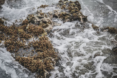 High angle view of rocks in sea