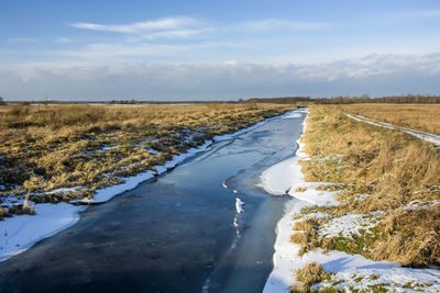 A small frozen river and dry grasses on the shore, winter view, zarzecze, poland