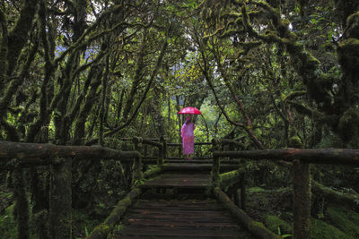 Rear view of woman with umbrella walking on footbridge in forest