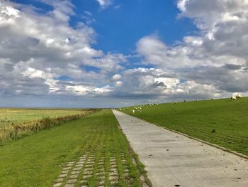 Empty road amidst field against sky