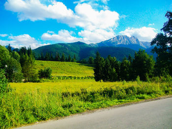 Scenic view of landscape against sky