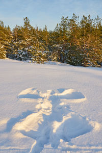 Snow covered field against sky