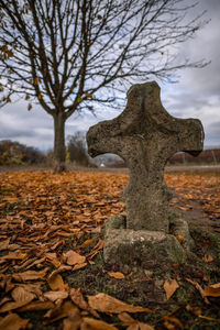 View of tree in cemetery