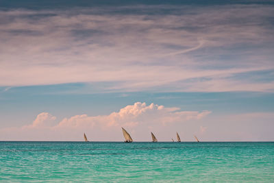 Dhow boats sailing against sky in the sea at sunset against sky