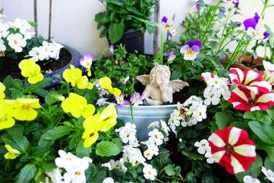 View of potted plants