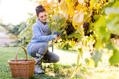 Full length view of woman in vineyard