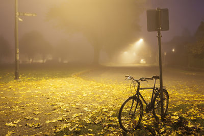 Bicycle parked on street light at night