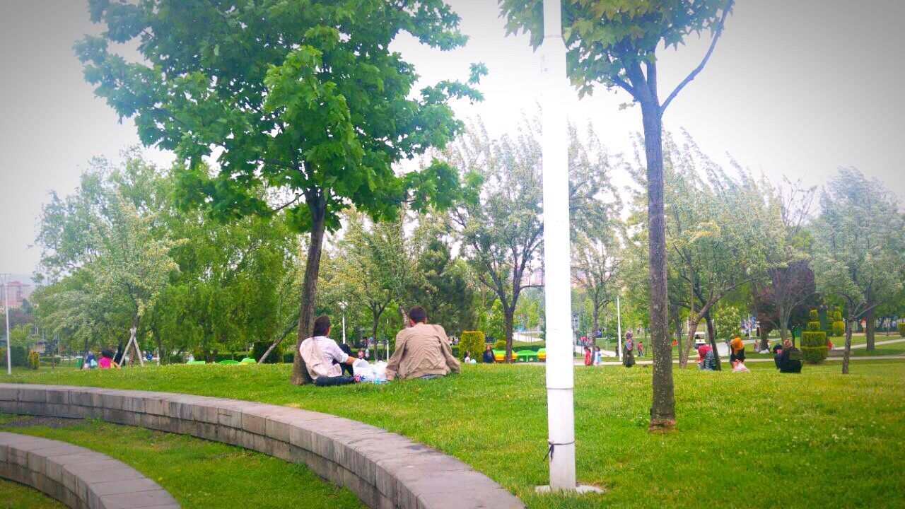 tree, park - man made space, sculpture, statue, green color, grass, formal garden, growth, art, art and craft, human representation, nature, clear sky, tranquility, sky, creativity, tourism, travel destinations, incidental people, fountain