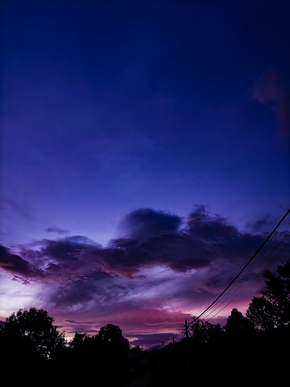 LOW ANGLE VIEW OF SILHOUETTE TREES AGAINST BLUE SKY