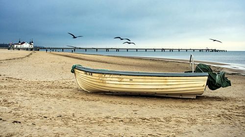 Seagulls and a small abandoned motor boat on lonely baltic sea beach