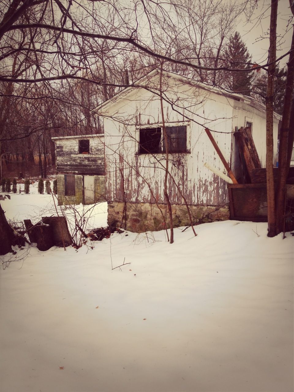 snow, winter, cold temperature, bare tree, season, built structure, architecture, building exterior, weather, tree, covering, frozen, house, branch, white color, nature, covered, field, outdoors, day