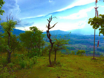 Scenic view of landscape against sky