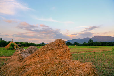 Hay bales on field against sky