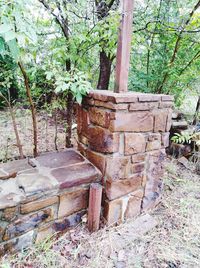 Old wooden house in forest