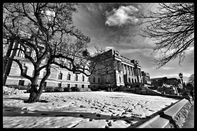 Bare trees and buildings in city against sky