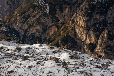 Scenic view of snow covered mountain