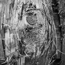 Close-up of weathered wooden wall