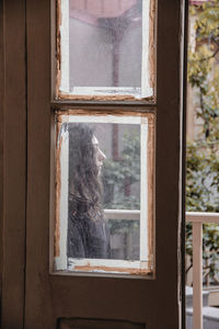 View of cat looking through window