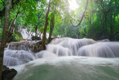 Scenic view of waterfall in forest