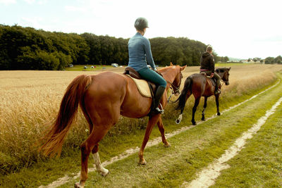 Rear view of horse walking on field