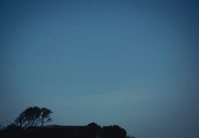 Low angle view of silhouette trees against clear blue sky