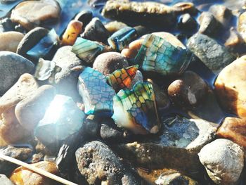 Close-up of crab on pebbles at beach