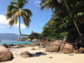 Scenic view of beach against clear sky