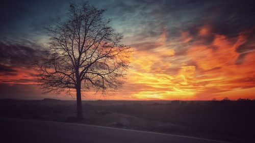 Silhouette bare tree by road against orange sky