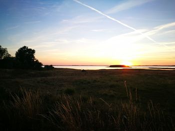 Scenic view of field against sky during sunset