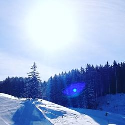 Snow covered landscape