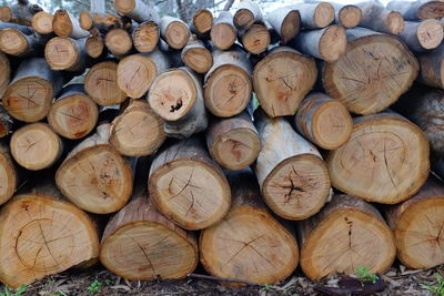 Wooden logs on field
