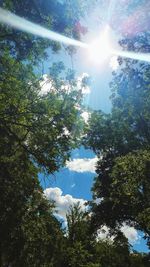 Low angle view of trees against sky