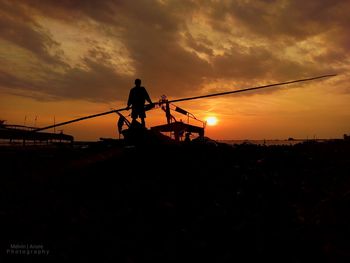 Silhouette of trees at sunset