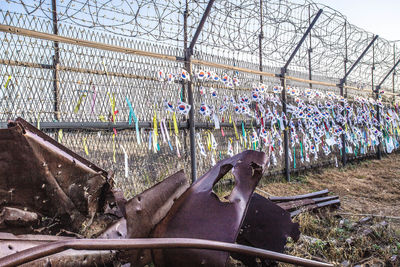 View of an animal seen through fence