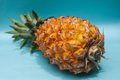 Close-up of pineapple over white background