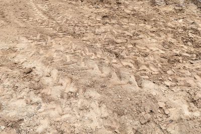 Full frame shot of cracked land