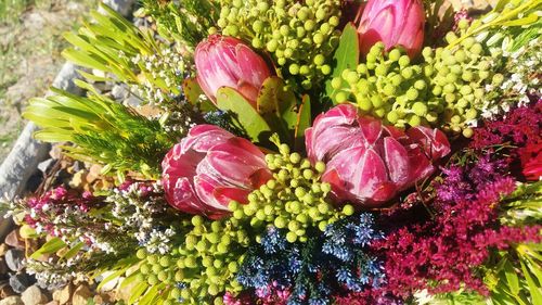 Close-up of multi colored flowers