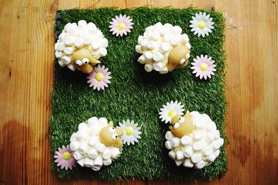 Directly above shot of white flowers