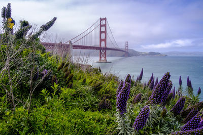 View of suspension bridge against cloudy sky