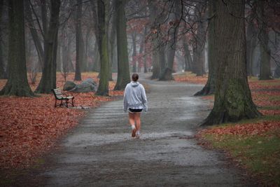 Rear view of man walking on road in forest