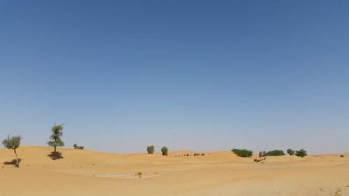 Scenic view of desert against clear sky