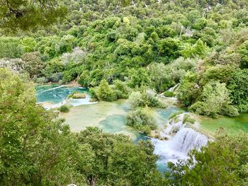 High angle view of river amidst trees in forest