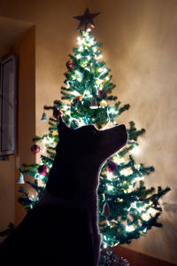 Illuminated christmas tree in house