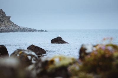 Rocks on beach against clear sky