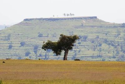 Scenic view of landscape against sky