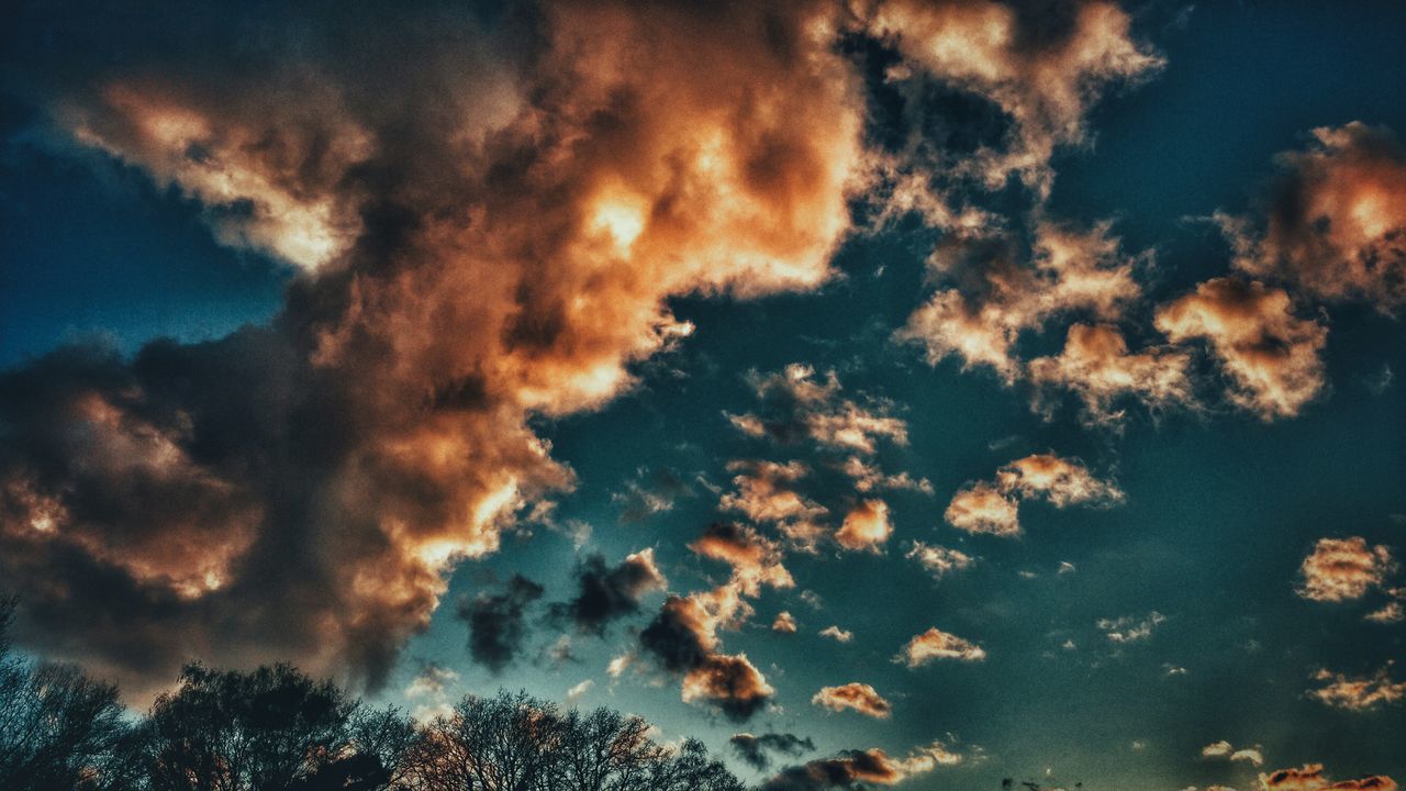 LOW ANGLE VIEW OF TREES AGAINST CLOUDY SKY