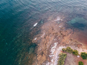 High angle view of sea shore