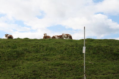 Scenic view of grassy field against cloudy sky