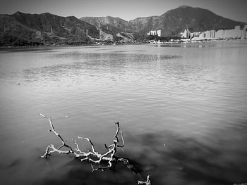 View of birds on lake